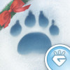 Animal Voyage Island Adventure