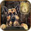 Hidden ObjectDetective Max